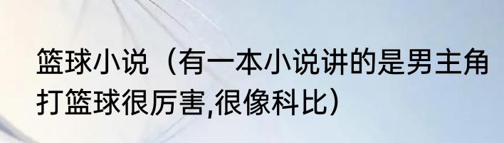 篮球小说（有一本小说讲的是男主角打篮球很厉害,很像科比）