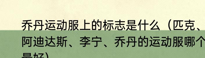 乔丹运动服上的标志是什么（匹克、阿迪达斯、李宁、乔丹的运动服哪个最好）