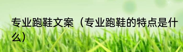 专业跑鞋文案（专业跑鞋的特点是什么）