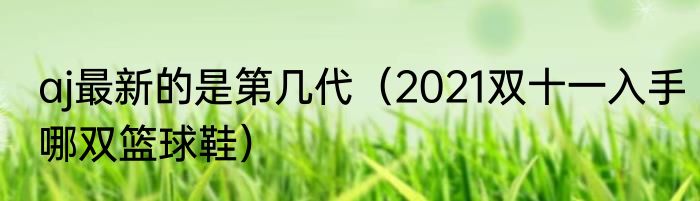 aj最新的是第几代（2021双十一入手哪双篮球鞋）