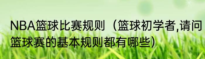 NBA篮球比赛规则（篮球初学者,请问篮球赛的基本规则都有哪些）