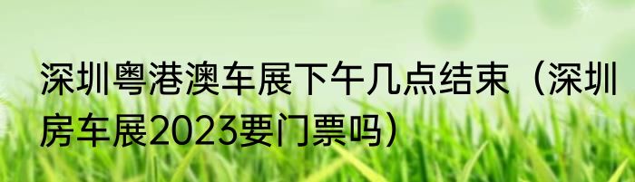 深圳粤港澳车展下午几点结束（深圳房车展2023要门票吗）