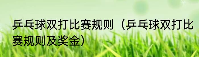 乒乓球双打比赛规则（乒乓球双打比赛规则及奖金）