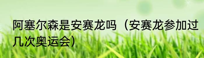 阿塞尔森是安赛龙吗（安赛龙参加过几次奥运会）