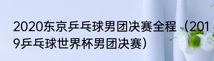 2020东京乒乓球男团决赛全程（2019乒乓球世界杯男团决赛）
