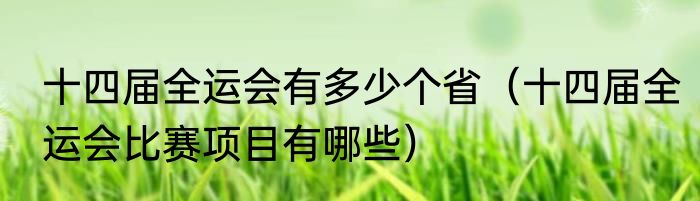 十四届全运会有多少个省（十四届全运会比赛项目有哪些）