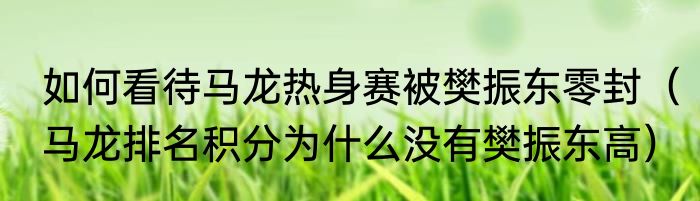 如何看待马龙热身赛被樊振东零封（马龙排名积分为什么没有樊振东高）