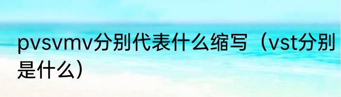 pvsvmv分别代表什么缩写（vst分别是什么）