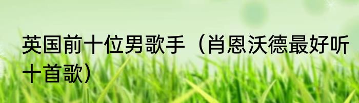 英国前十位男歌手（肖恩沃德最好听十首歌）
