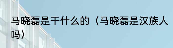 马晓磊是干什么的（马晓磊是汉族人吗）