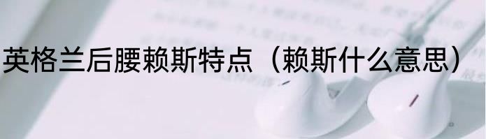 英格兰后腰赖斯特点（赖斯什么意思）