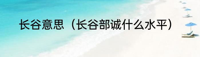 长谷意思（长谷部诚什么水平）
