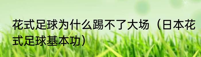 花式足球为什么踢不了大场（日本花式足球基本功）