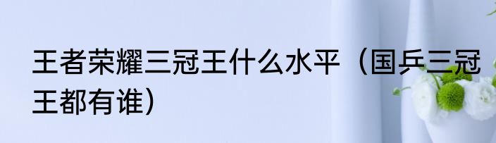 王者荣耀三冠王什么水平（国乒三冠王都有谁）