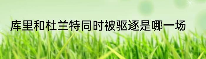 库里和杜兰特同时被驱逐是哪一场