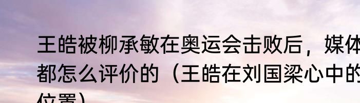 王皓被柳承敏在奥运会击败后，媒体都怎么评价的（王皓在刘国梁心中的位置）