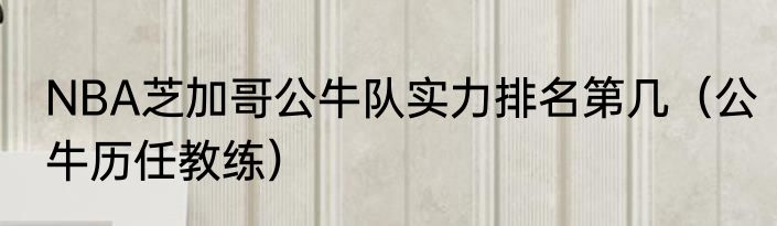 NBA芝加哥公牛队实力排名第几（公牛历任教练）