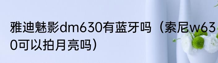 雅迪魅影dm630有蓝牙吗（索尼w630可以拍月亮吗）