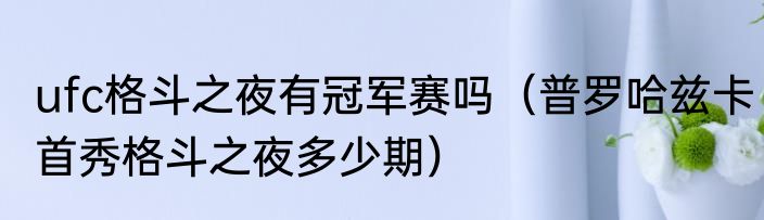ufc格斗之夜有冠军赛吗（普罗哈兹卡首秀格斗之夜多少期）