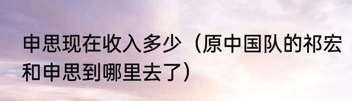申思现在收入多少（原中国队的祁宏和申思到哪里去了）