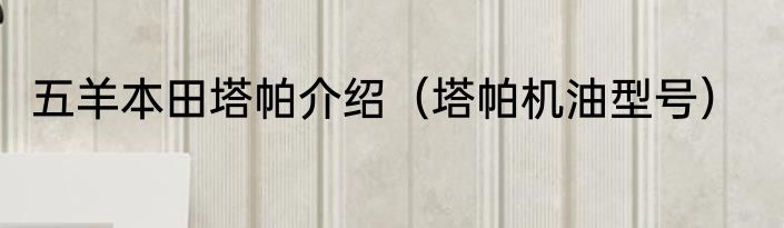 五羊本田塔帕介绍（塔帕机油型号）