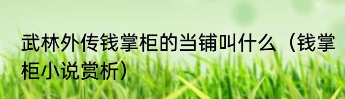 武林外传钱掌柜的当铺叫什么（钱掌柜小说赏析）