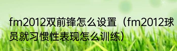 fm2012双前锋怎么设置（fm2012球员就习惯性表现怎么训练）