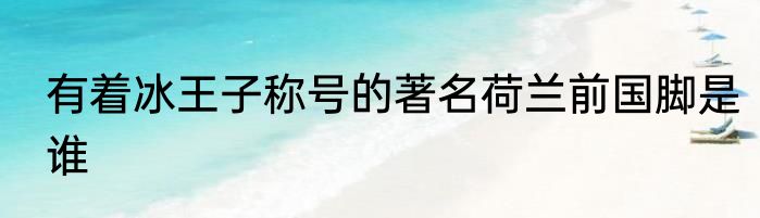 有着冰王子称号的著名荷兰前国脚是谁