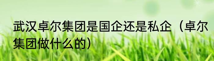 武汉卓尔集团是国企还是私企（卓尔集团做什么的）