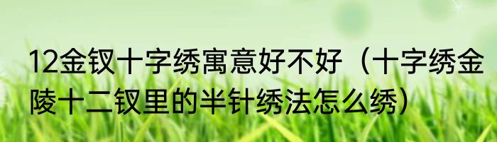 12金钗十字绣寓意好不好（十字绣金陵十二钗里的半针绣法怎么绣）