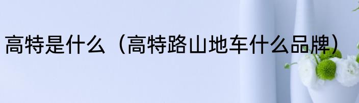 高特是什么（高特路山地车什么品牌）