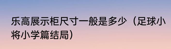 乐高展示柜尺寸一般是多少（足球小将小学篇结局）