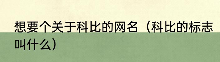 想要个关于科比的网名（科比的标志叫什么）