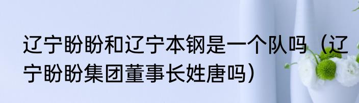 辽宁盼盼和辽宁本钢是一个队吗（辽宁盼盼集团董事长姓唐吗）