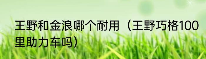 王野和金浪哪个耐用（王野巧格100里助力车吗）