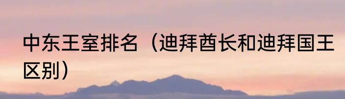 中东王室排名（迪拜酋长和迪拜国王区别）