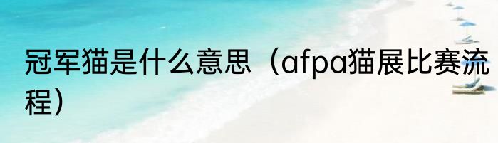 冠军猫是什么意思（afpa猫展比赛流程）