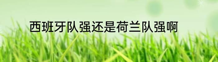 西班牙队强还是荷兰队强啊