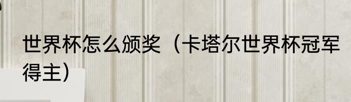 世界杯怎么颁奖（卡塔尔世界杯冠军得主）