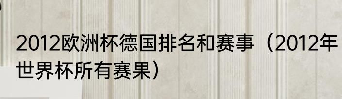 2012欧洲杯德国排名和赛事（2012年世界杯所有赛果）