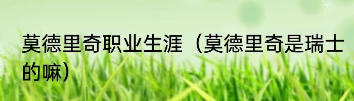 莫德里奇职业生涯（莫德里奇是瑞士的嘛）