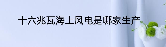十六兆瓦海上风电是哪家生产