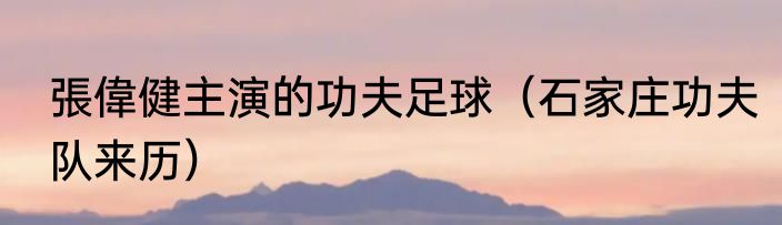 張偉健主演的功夫足球（石家庄功夫队来历）