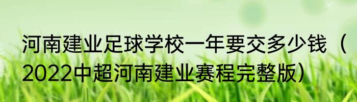 河南建业足球学校一年要交多少钱（2022中超河南建业赛程完整版）