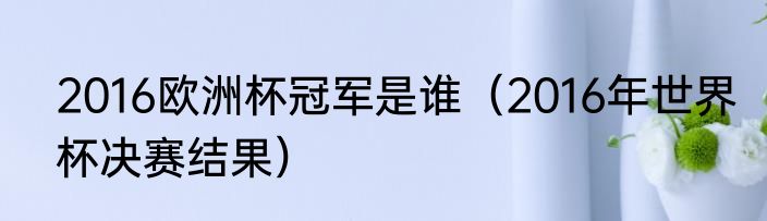 2016欧洲杯冠军是谁（2016年世界杯决赛结果）