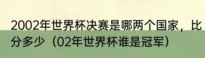 2002年世界杯决赛是哪两个国家，比分多少（02年世界杯谁是冠军）