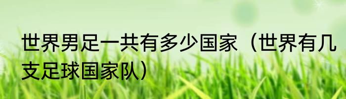 世界男足一共有多少国家（世界有几支足球国家队）