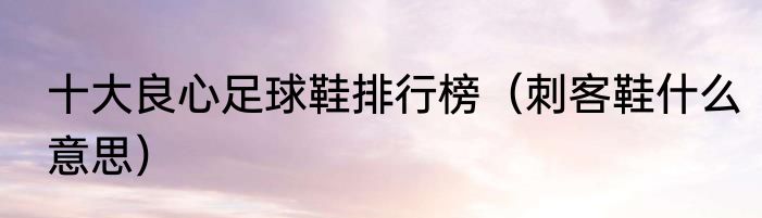 十大良心足球鞋排行榜（刺客鞋什么意思）