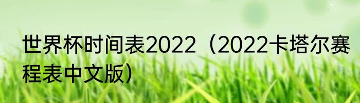 世界杯时间表2022（2022卡塔尔赛程表中文版）