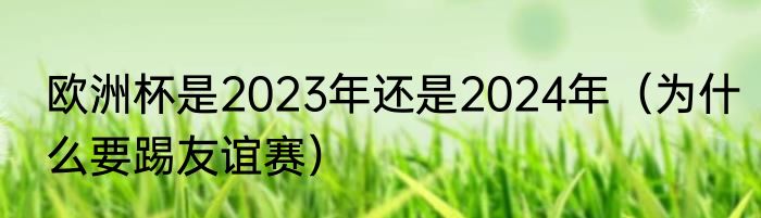 欧洲杯是2023年还是2024年（为什么要踢友谊赛）